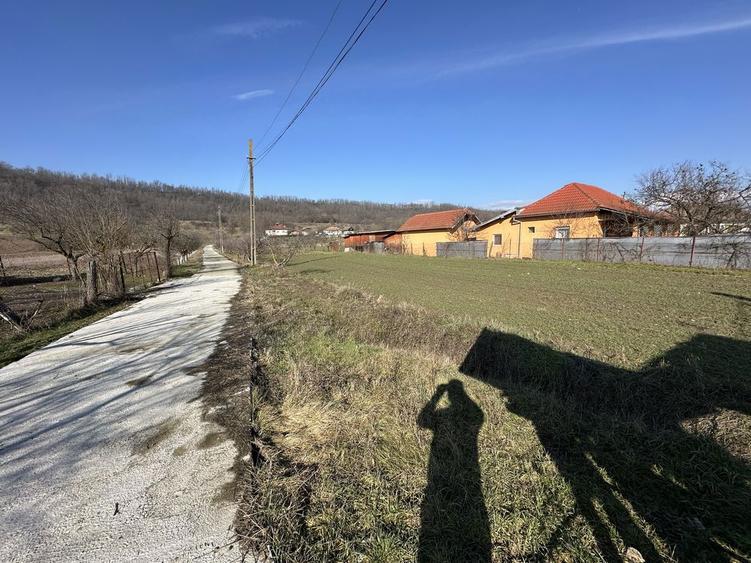 Teren intravilan 2400mp, comuna Galicea , sat Cocoru , Valcea - 5