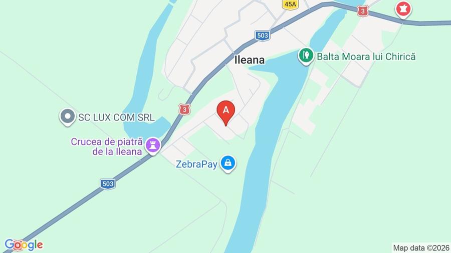Teren agricol extravilan de 30000 mp, în Ileana