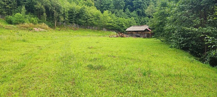 Teren 5600mp in localitatea Malaia - 5