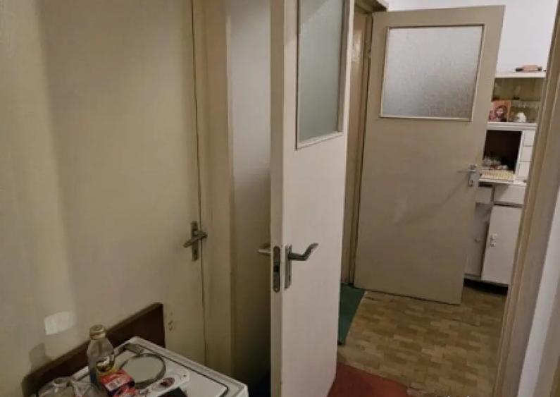 NORD-Cameliei cub, 2cam, cf1, dec, 3/4, f.imb - 48000 euro - 9