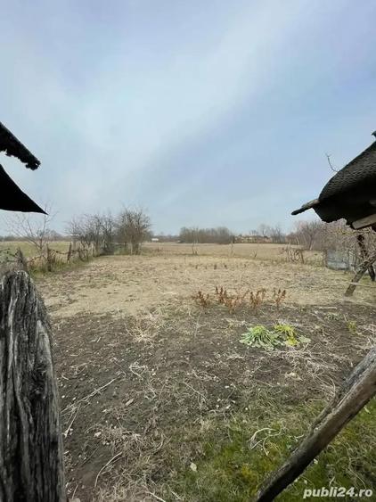 Casa de vanzare Cociuba Mare - 5