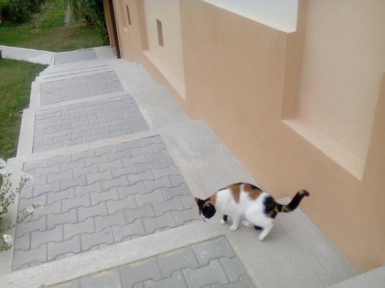 Se vinde casa individuala in satul Totea de Hurezani, judetul Gorj - 4