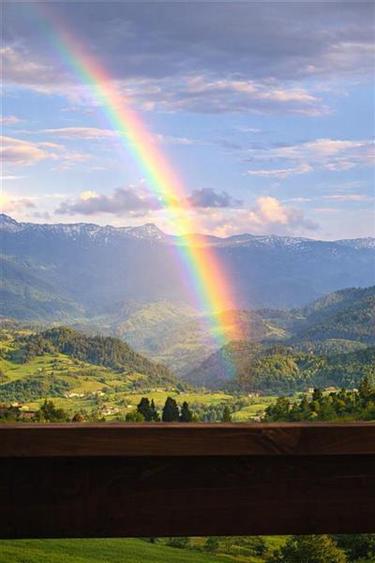 Resedinta/ pensiune, in areal privilegiat. cu 1.000 mp teren, Pestera, Bran, Bra - 15