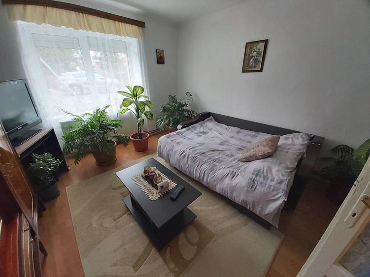 Casa de vanzare cu teren generos - 5