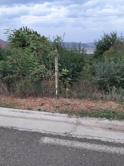 Teren str Casa Apelor - 7