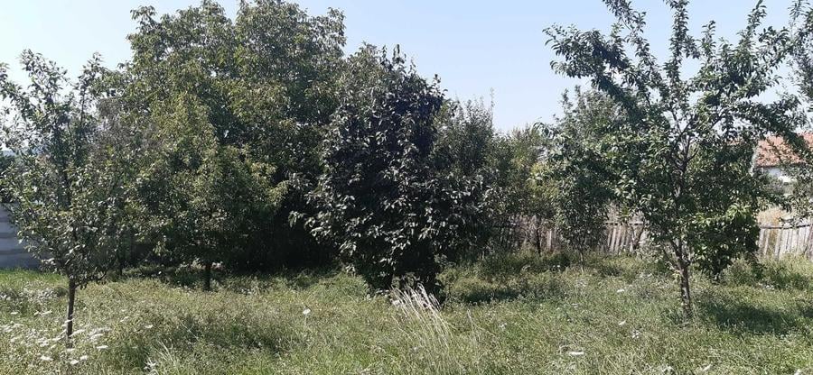 Teren de 1769 mp, în Central