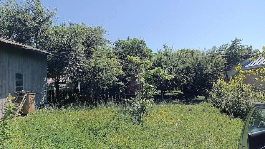 Teren de 10000 mp, în Ruginoasa