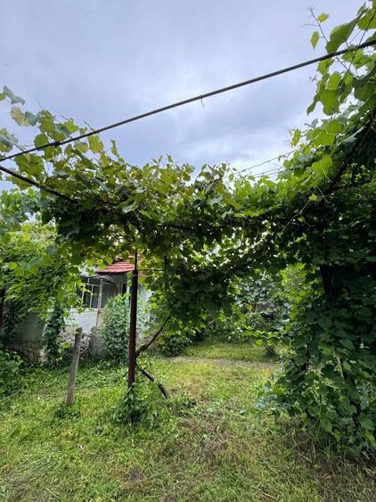 Casă cu 4 camere în Pocruia