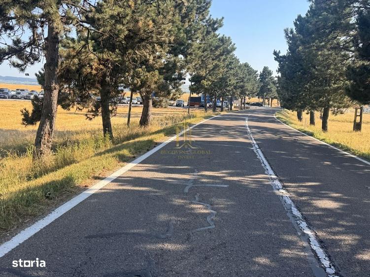 Teren de vanzare 10.200 mp, PlopeniSalcea, zona Aeroportului Suceava - 4