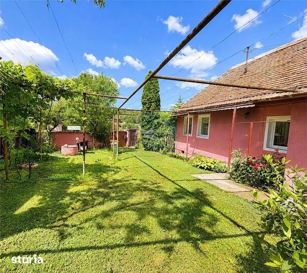 Casa 4 camere 1640 mp teren Bazna - 10