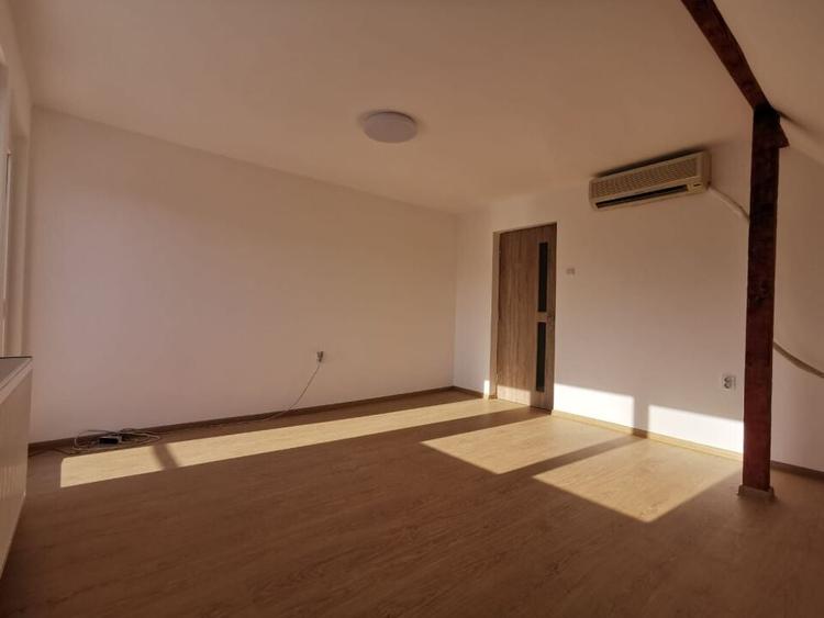 Dobroesti 5 Camere Vila La Curte - 12