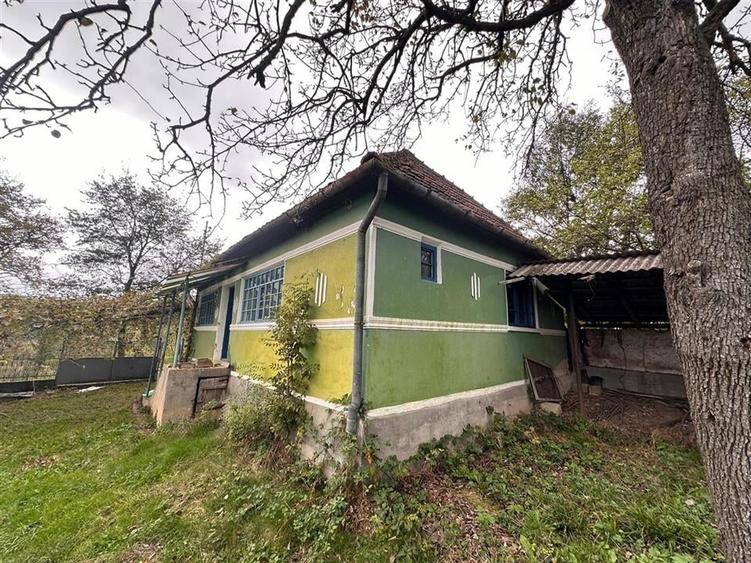 TEREN | 9341 MP | BALNACA GROSI | BIHOR - 4