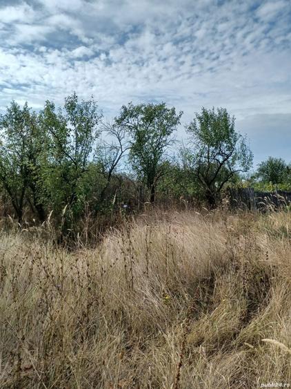 Casa in Fauresti Valcea - 1