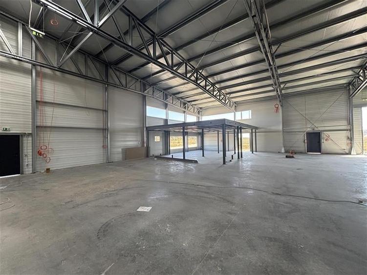 Vanzare depozit/hala/spatiu industrial Mogosoaia - Buftea - 6