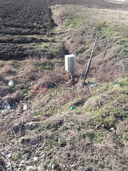 Teren intravilan investitie, urbanism rezidential si dotari, Bucovat - 8