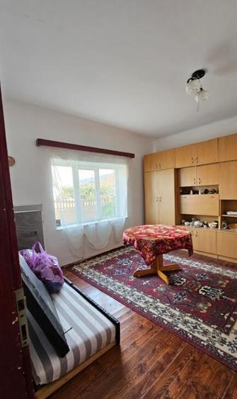 Apa, casa P+M,14 ari teren - 8