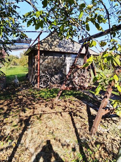 Teren 1362 mp + anexe - 4