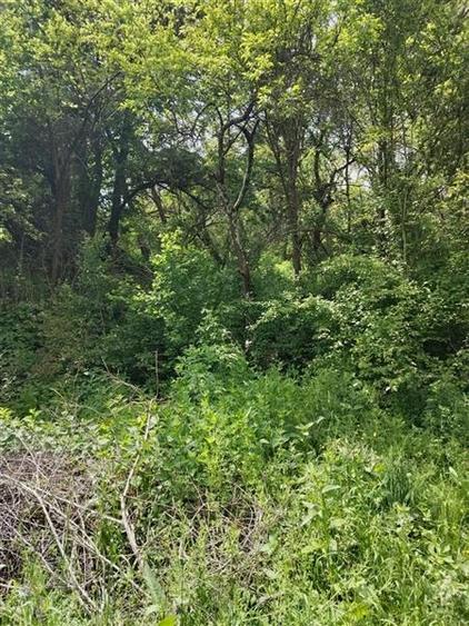 Domeniu verde autentic,  +5.000mp, front la DJ, Valcele, Brasov -- Covasna - 12