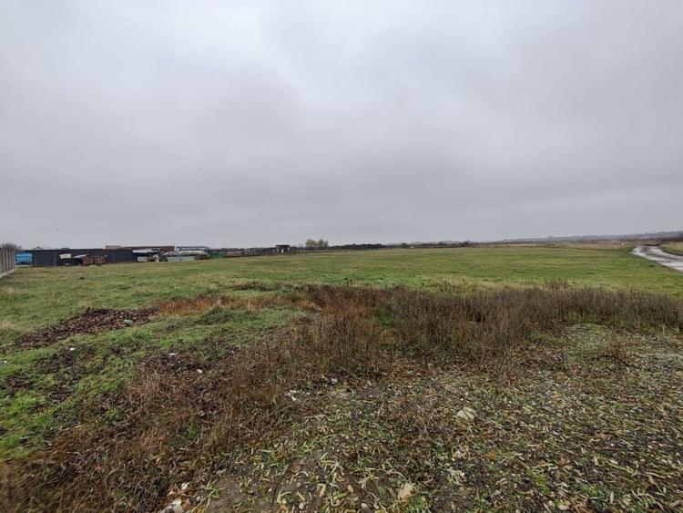 Teren 4588 mp, Remetea Mare Comision 0% - 6