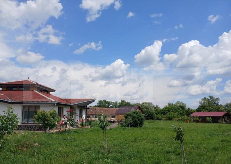 Casa superba in Tinca, 225 mp, 20 ari luciu de apa, teren fo - 5