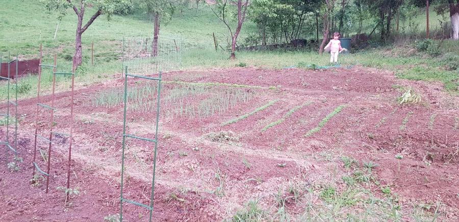 Teren 800 mp langa centru, in Resita - 2