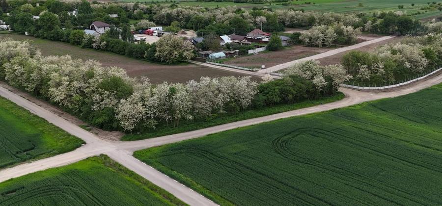 Vand Teren UNIIC Zona Nord Grădiștea 15744 Mp 4 Deschideri intravilan OCAZIE - 8