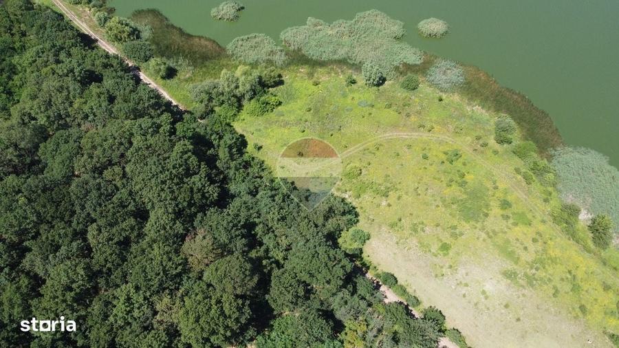 Teren 2404 mp la Lacul Murani langa padure concept Green and Blue - 3