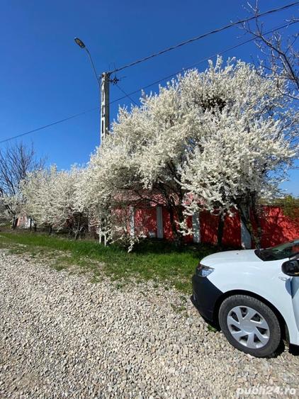 Vila pe malul lacului, Stefanestii de Jos, Ilfov - 9
