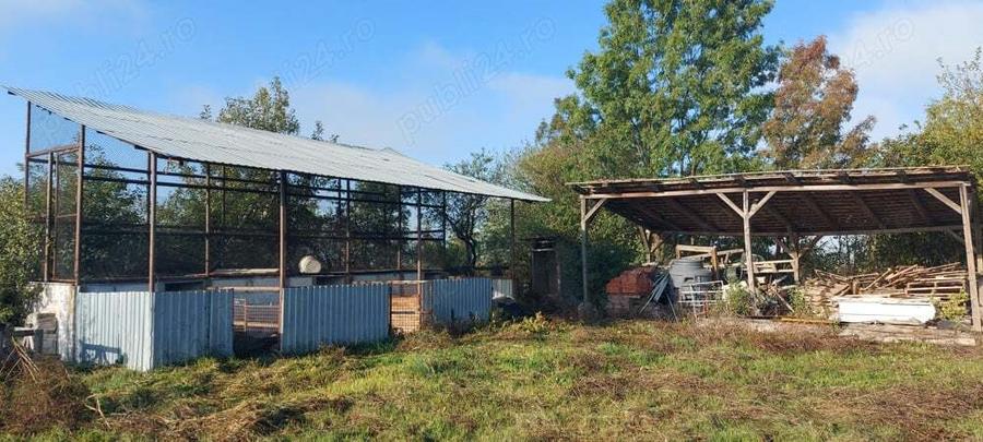 Casa + gospodarie la Silagiu Buzias - 2