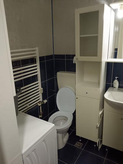 Brancoveanu metrou ,confort 1 decomandat,parter,300 de euro lunar - 7