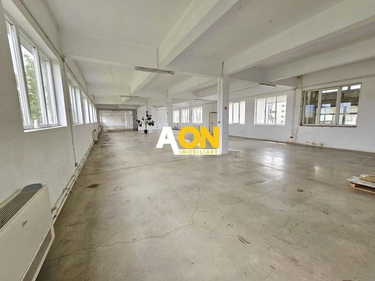 Spatiu industrial pentru productie sau depozitare, 1600 mp, Sebes - 3