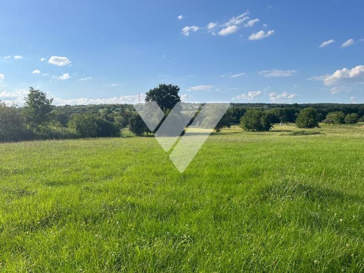 Teren intravilan constructii 6668 mp - Rasinari, Sibiu - 3