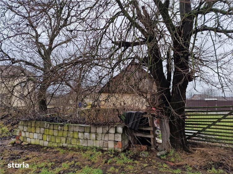 Teren mare cu 2 case de demolat in Gepiu - 4