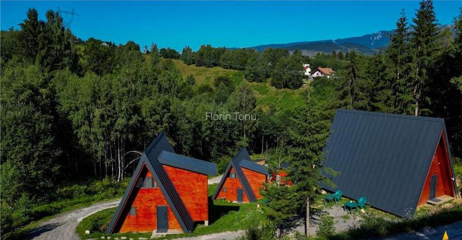 Ansamblu case:rezidential investitional, Moieciu de Jos,con