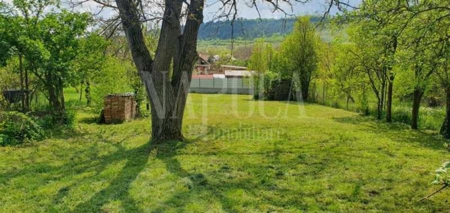 Teren intravilan pentru constructii de vanzare in Baciu - 5