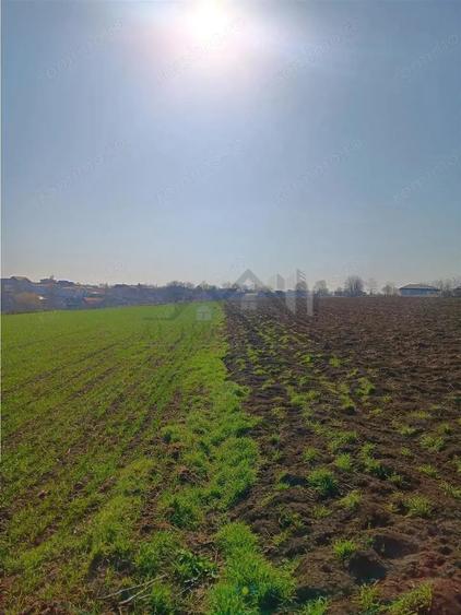 OCAZIE! Vorovesti Teren 83000mp intrav. si extrav. cu utilitati - 4