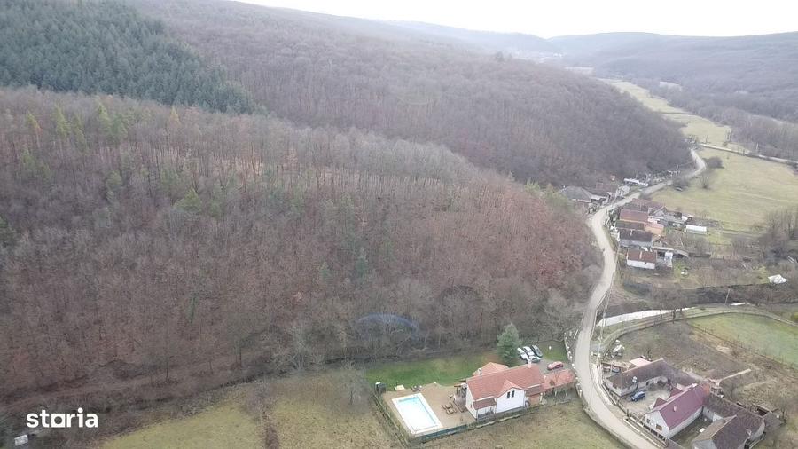 Pensiune/Casa de vanzare natura verde Cladova - 2