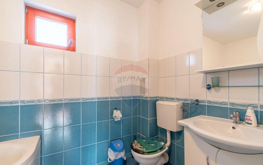 Casa de vanzare Jucu de Mijloc, Zona Panemar Teren intrav... - 15