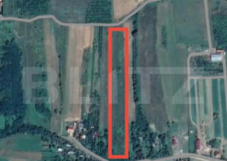 Teren de vanzare in Viile Satu Mare Strada Voinicilor - 1