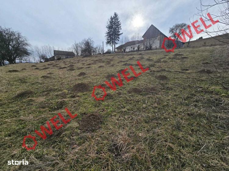 Teren extravilan de vanzare in Sarama?, pe punctul de numit ,,PARAIE,, - 1