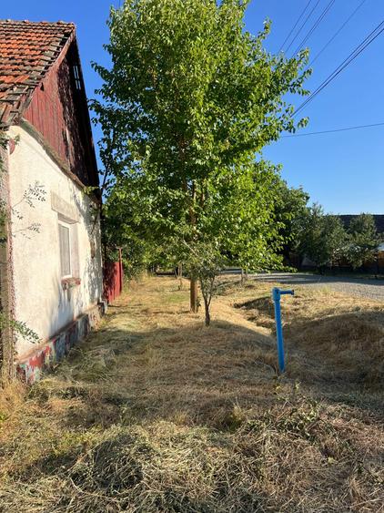 Casa in OTVESTI de vanzare!! - 2