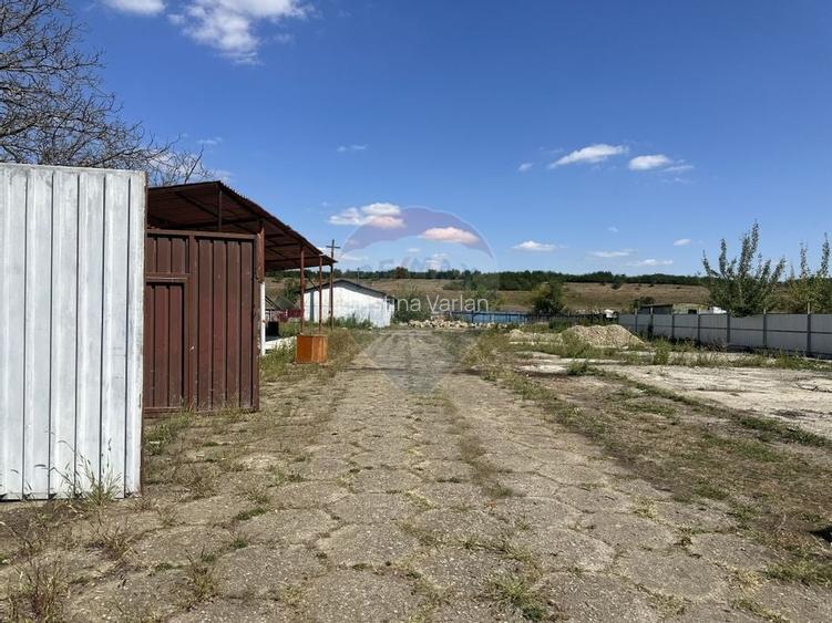 Spatiu industrial hale depozitare si productie Spatiu industrial hale depozitare si productie