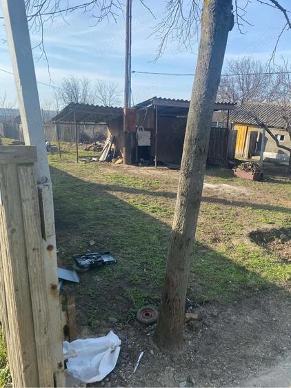 vand casuta la tara - 1