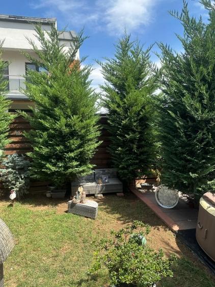 VILA DUPLEX SPATIOASA 4 CAMERE+ MANSARDA - TUNARI - Negociabil - 4