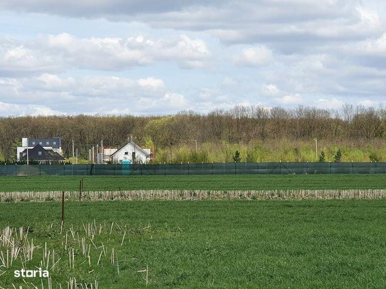 Teren langa padurea Sri Balotesti, 22500 euro - 3