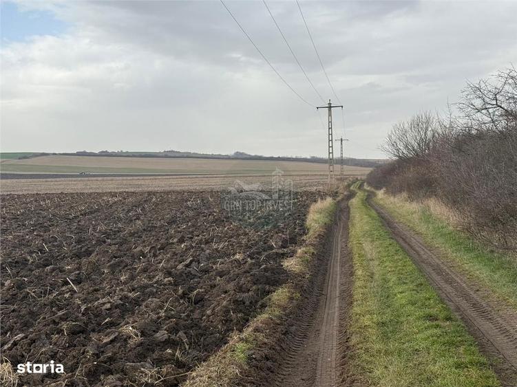 Teren extravilan in EXCLUSIVITATE 20300 mp in Sura Mica - 3