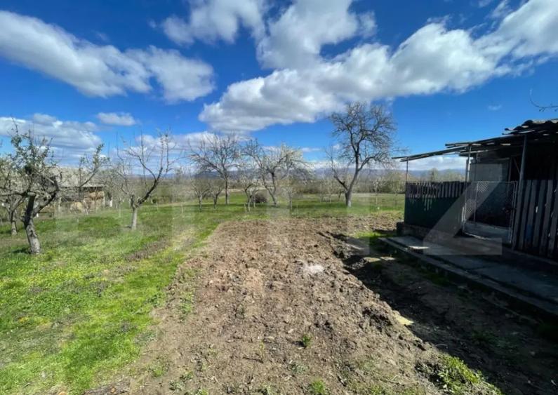 Casa cu 3 camere, 90 mp, 2 anexe gospodaresti si teren de 30 - 3