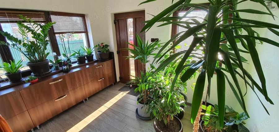 Vand casa in Campina, zona cartier Muscel - 20