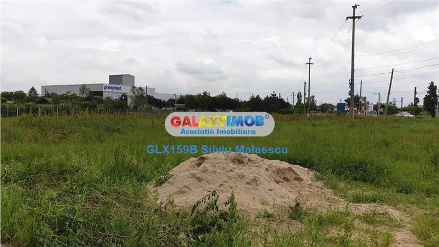 Mogosoaia 2.381 Mp FRF DN1A - 5