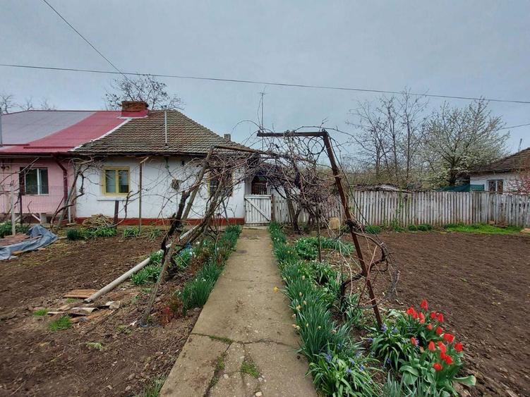 Casa caramida 60m2, teren ~600m2, Ciocanesti, Judetul Calarasi - 1